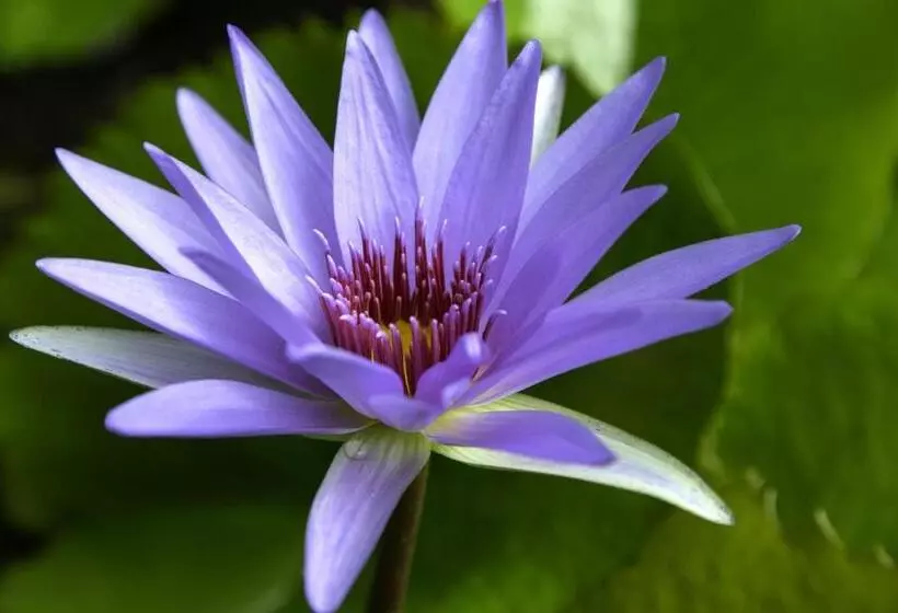 酒店 Hacienda Uayamon