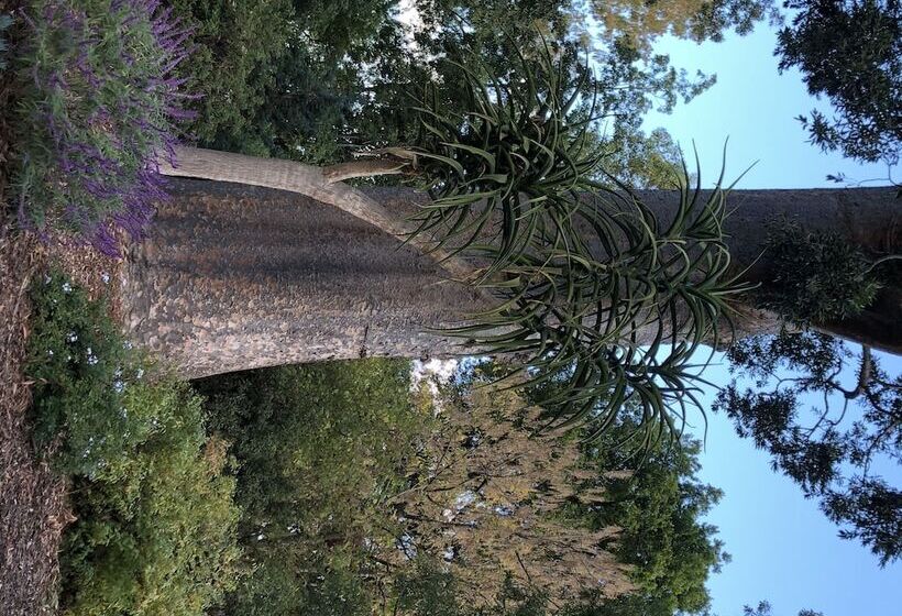 בית מלון כפרי Meramie Motor Inn