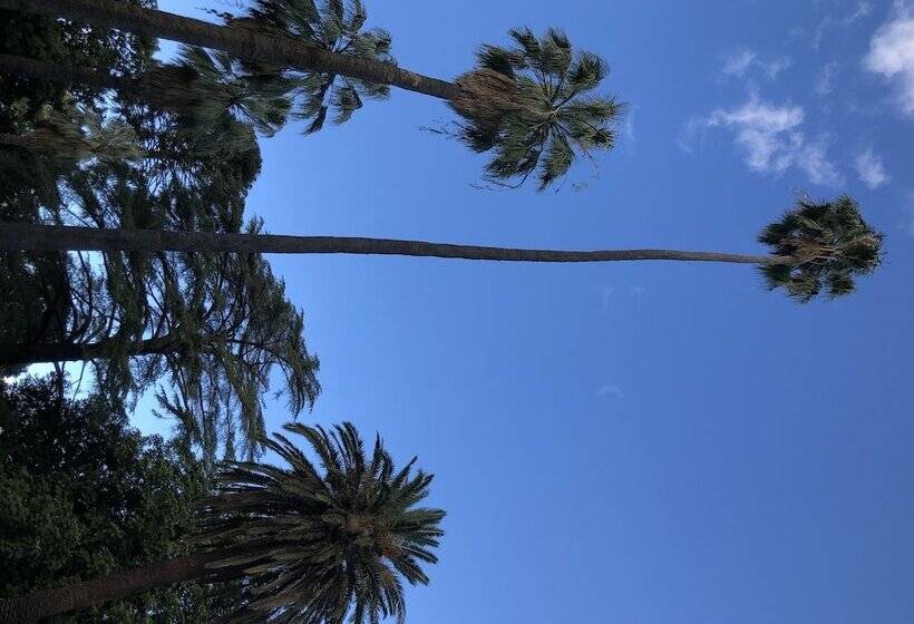 בית מלון כפרי Meramie Motor Inn