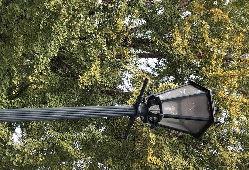 בית מלון כפרי Meramie Motor Inn