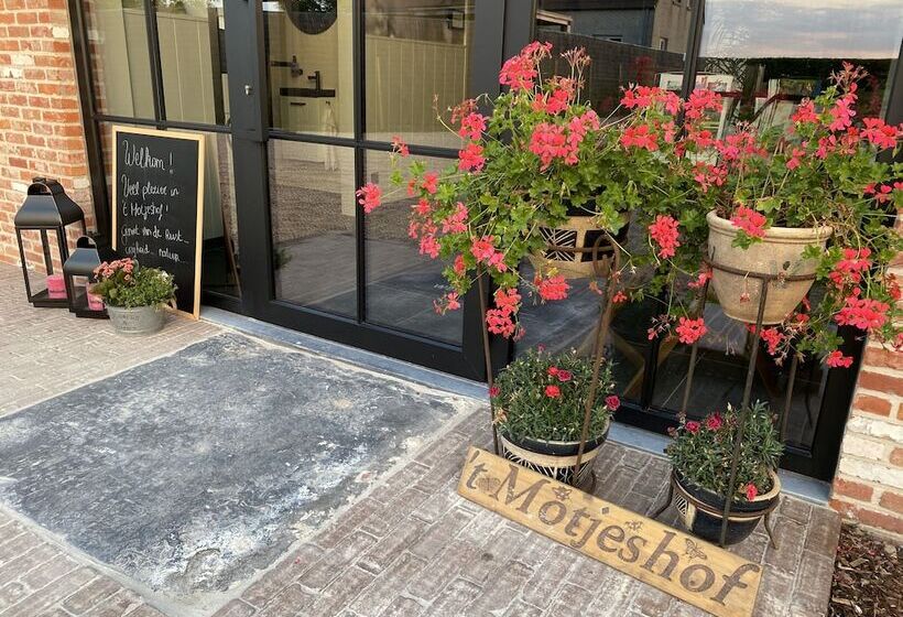 B&b 't Motjeshof
