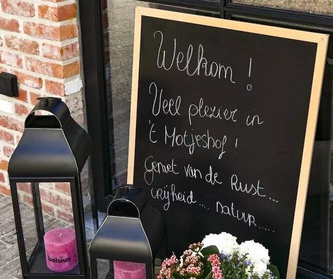 B&b 't Motjeshof