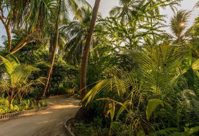 Fiyavalhu Resort Maldives