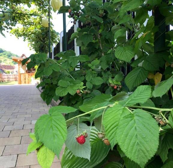 ペンション Casa Eva Wagner Biertan