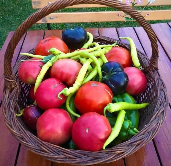 ペンション Casa Eva Wagner   Biertan