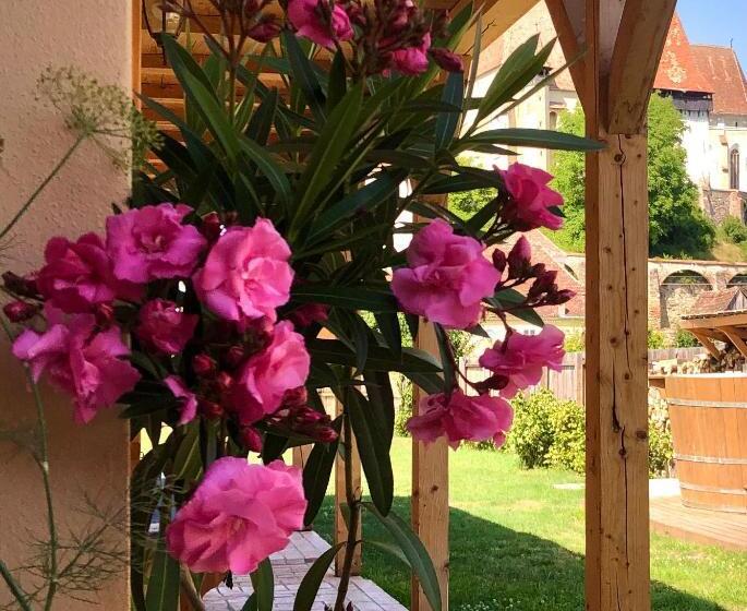 ペンション Casa Eva Wagner Biertan