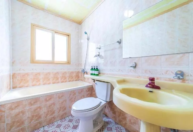 ペンション Hoony Guesthouse   Hostel