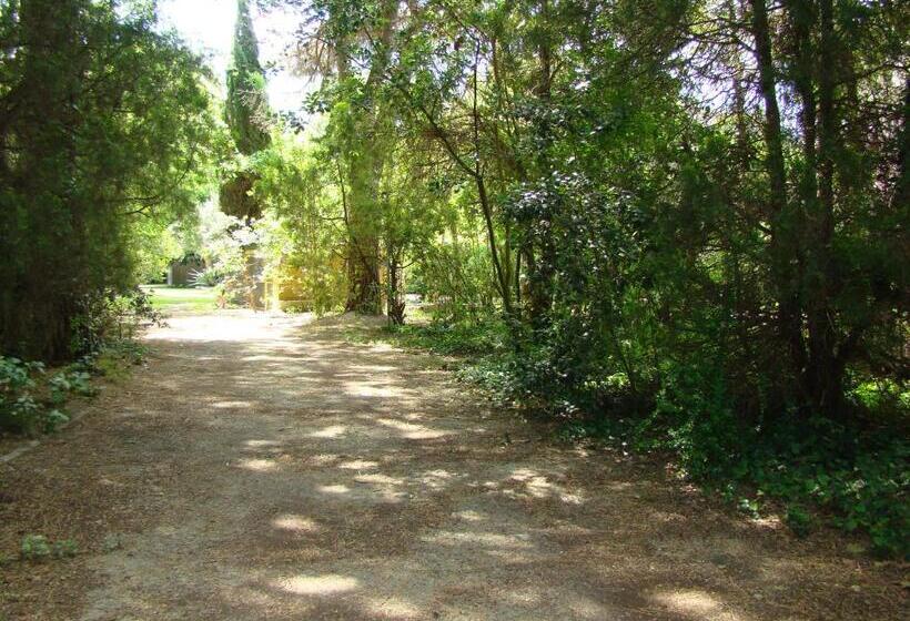 بنسيون La Villa Saint André Argeles Sur Mer