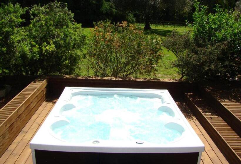 بنسيون La Villa Saint André Argeles Sur Mer