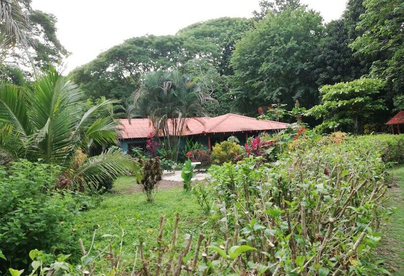 Bed and Breakfast Mundo Goub Art