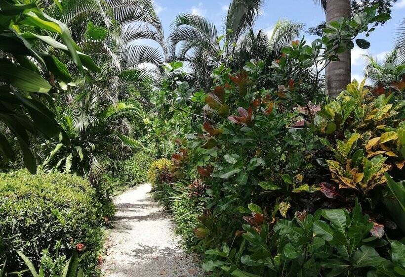 Bed and Breakfast Mundo Goub Art