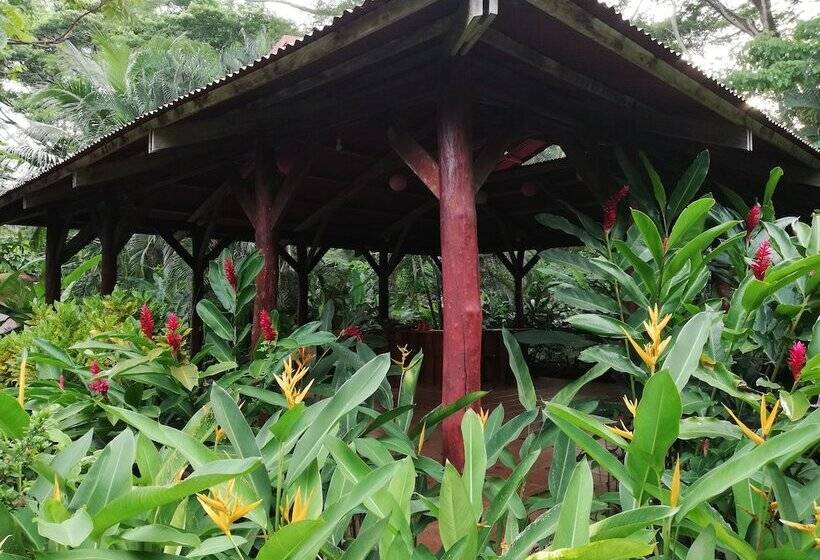 Bed and Breakfast Mundo Goub Art