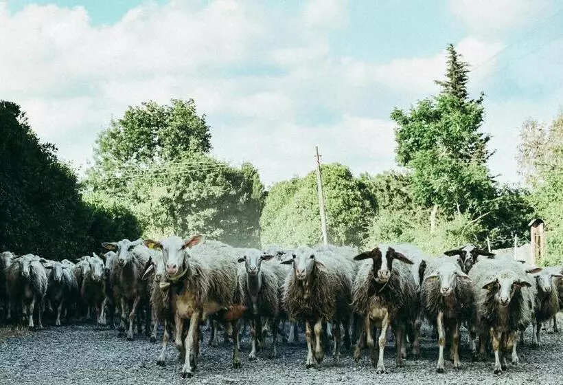 هتل Agriturismo Vallerana