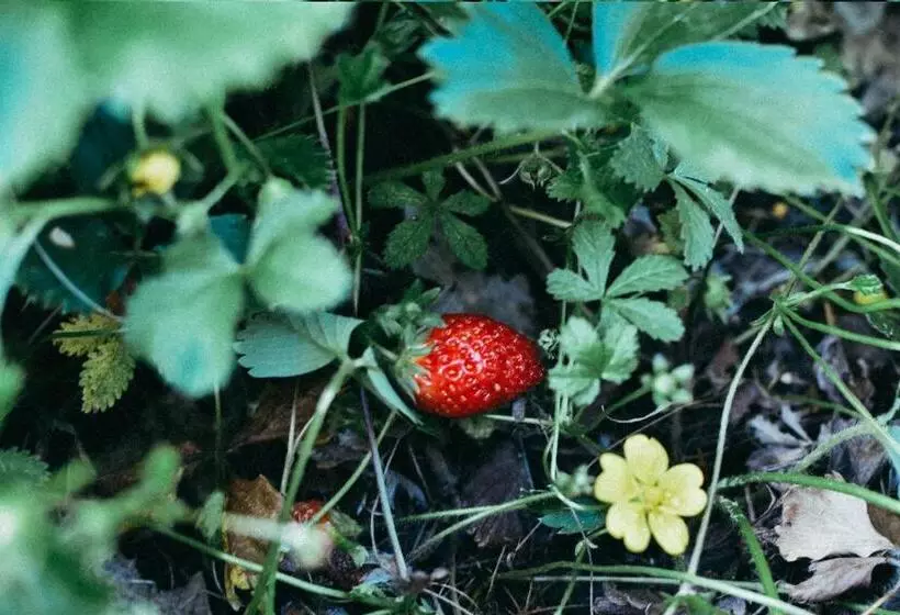 هتل Agriturismo Vallerana