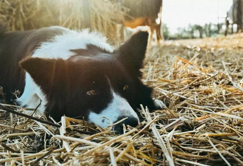 هتل Agriturismo Vallerana