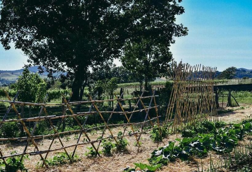 ホテル Agriturismo Vallerana