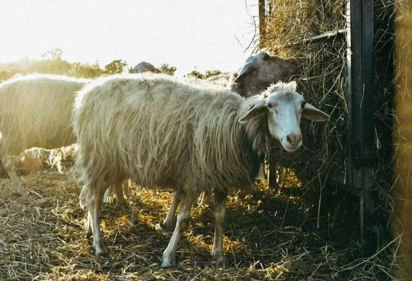 هتل Agriturismo Vallerana