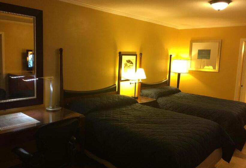 Отель Dragon Inn & Suites