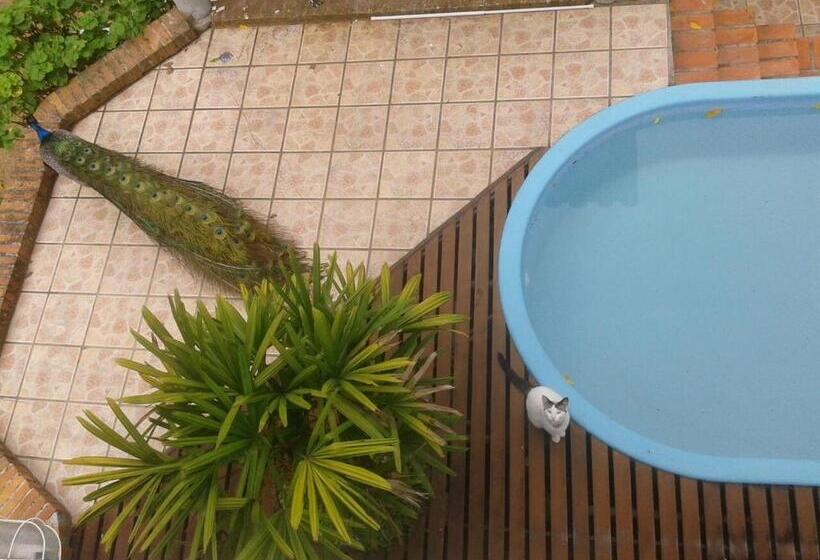 Bed & Breakfast Chácara Rosa Cortiana