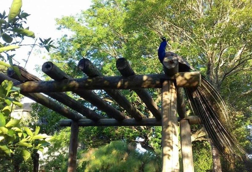 Bed & Breakfast Chácara Rosa Cortiana