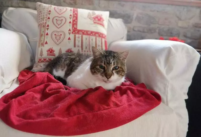 ベッドアンドブレックファースト Il Pozzo Di Vivalpa