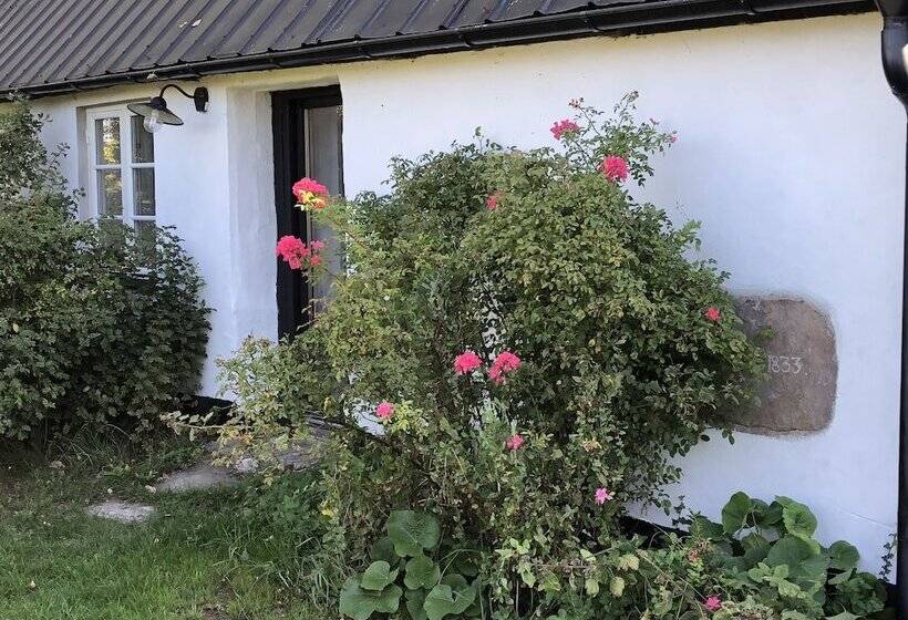 Lunkaberg Bed & Breakfast