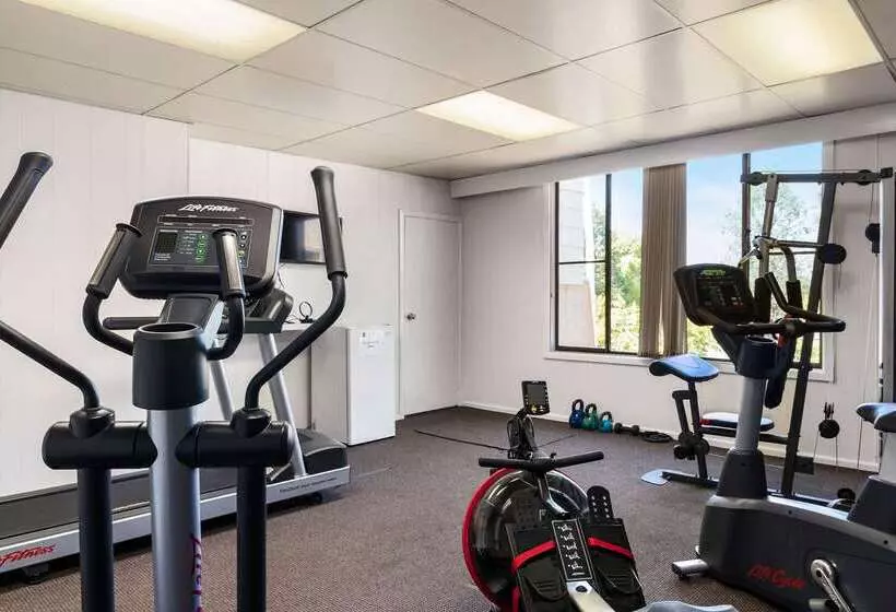 ホテル Quality Inn Dubbo International