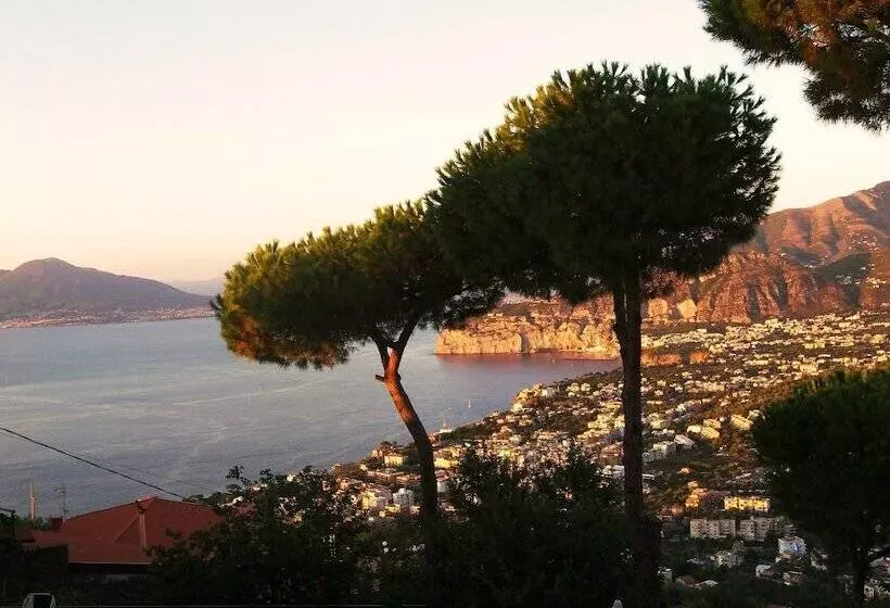 酒店 Villa Fiorita