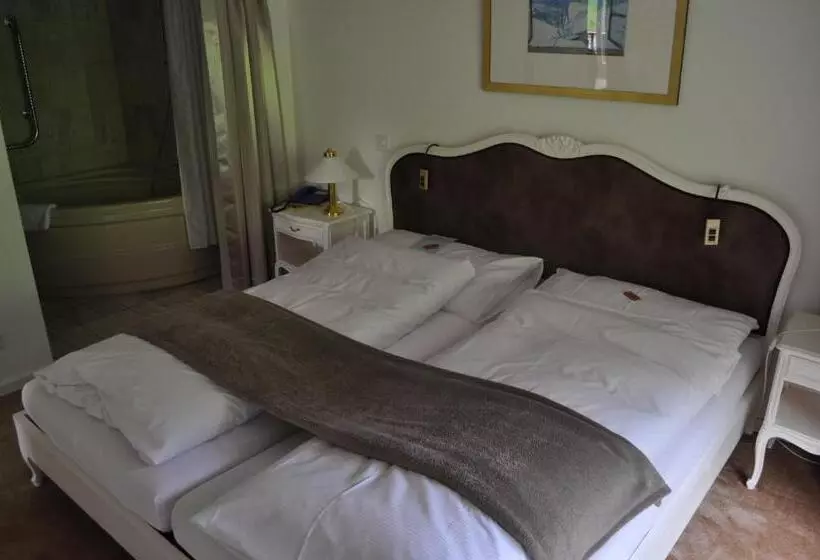 Seminar  & Erlebnishotel Römerturm