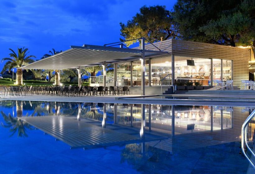 فندق Blue Dolphin