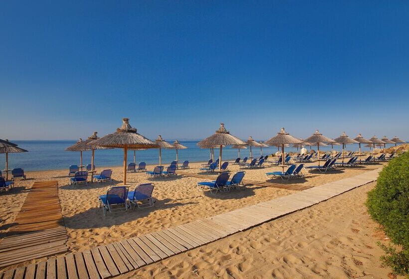 فندق Blue Dolphin