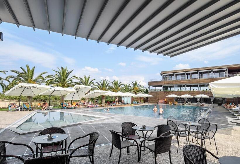 فندق Blue Dolphin