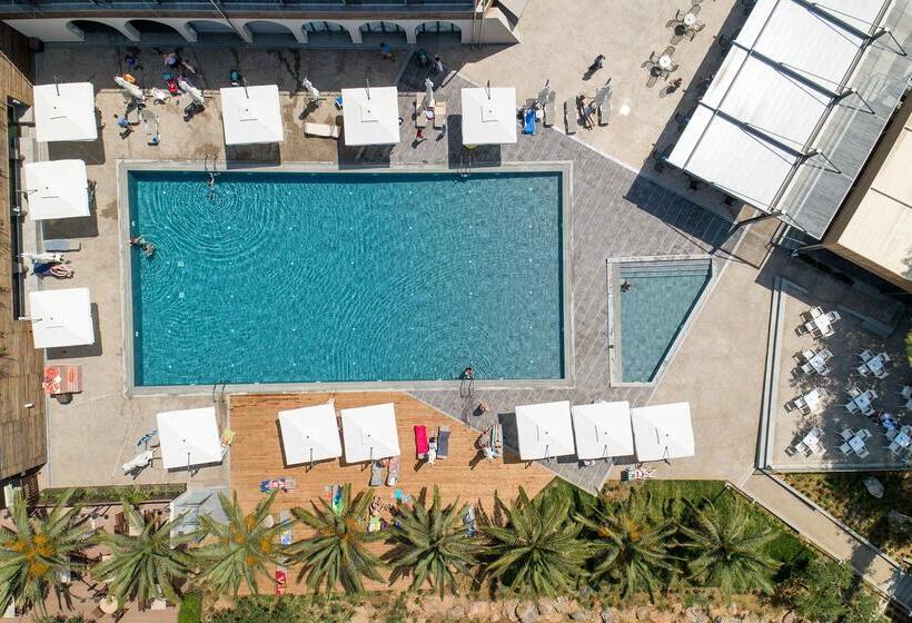 فندق Blue Dolphin