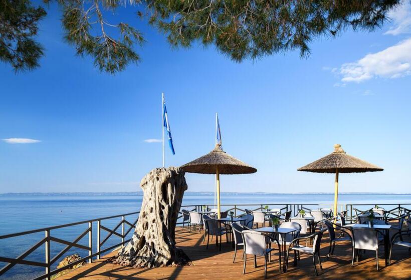 فندق Blue Dolphin