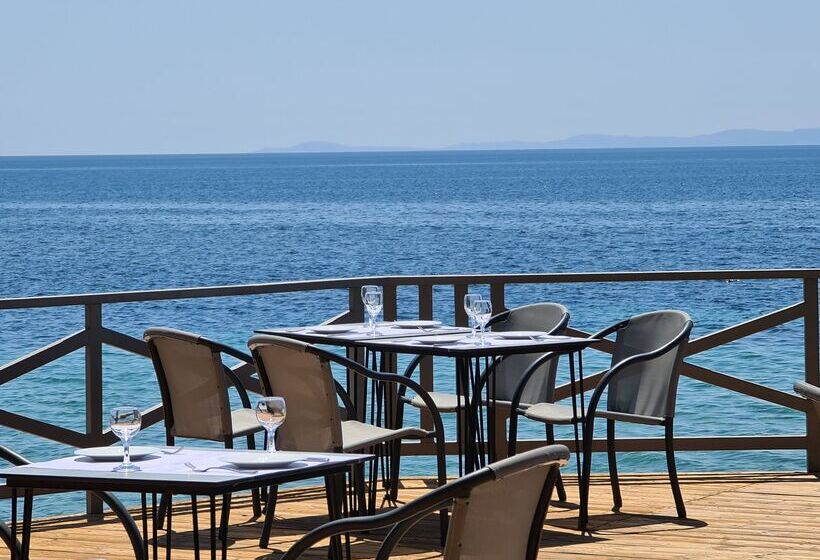 فندق Blue Dolphin