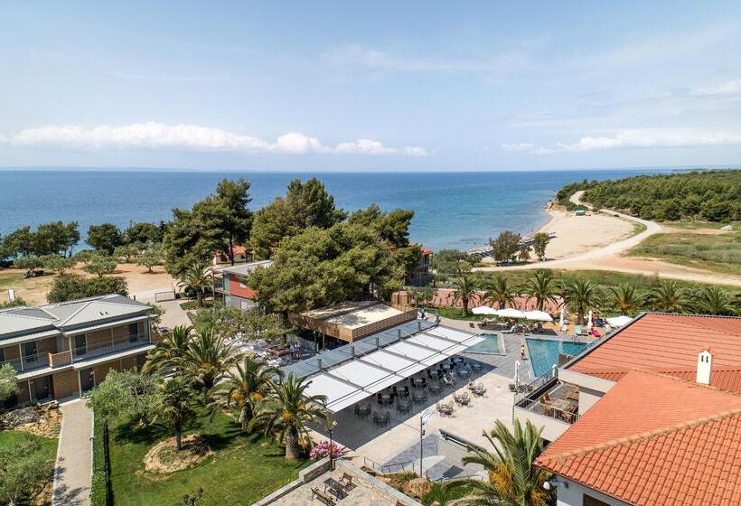 فندق Blue Dolphin