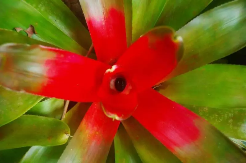 Отель Heritage Lodge