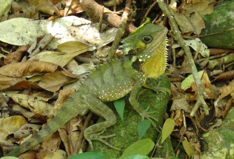 בית מלון כפרי Heritage Lodge