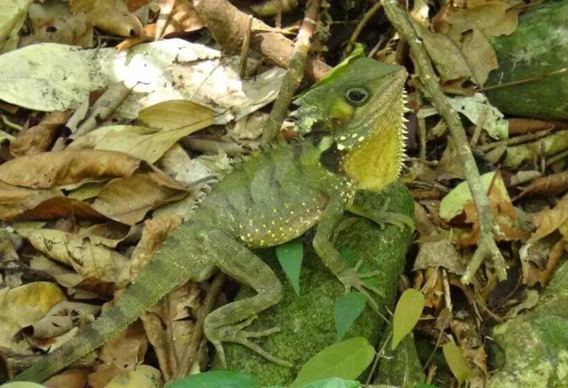 Отель Heritage Lodge