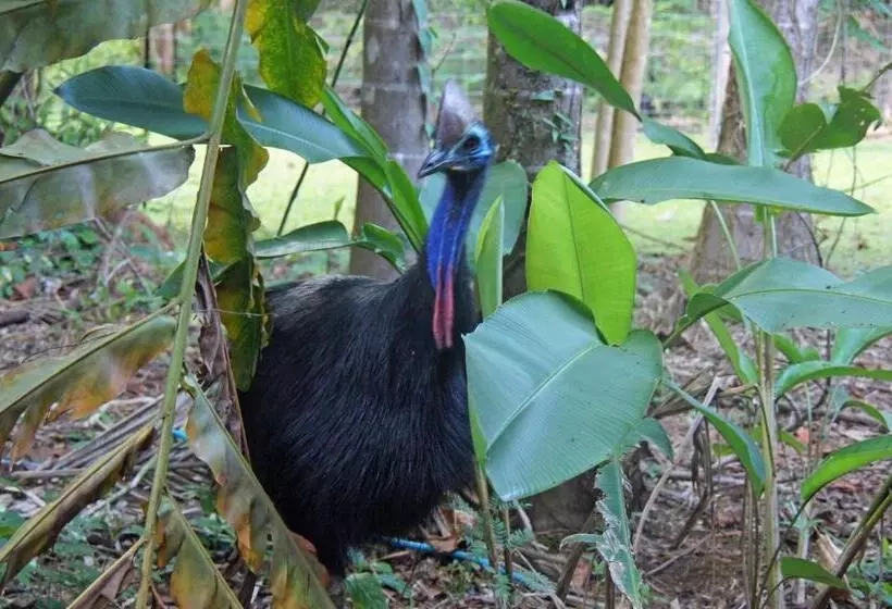 Отель Heritage Lodge