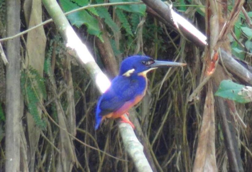 בית מלון כפרי Heritage Lodge