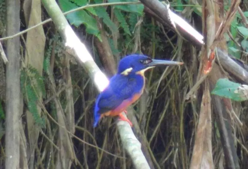 Отель Heritage Lodge