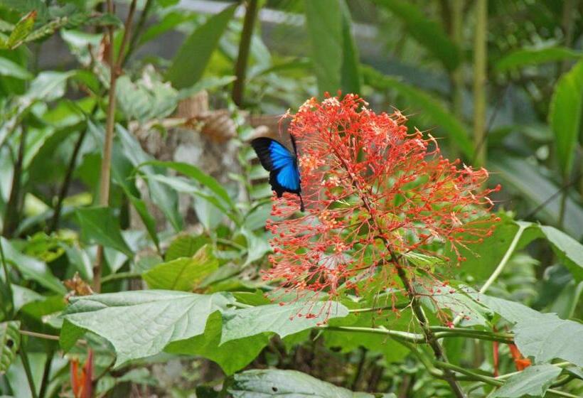 בית מלון כפרי Heritage Lodge