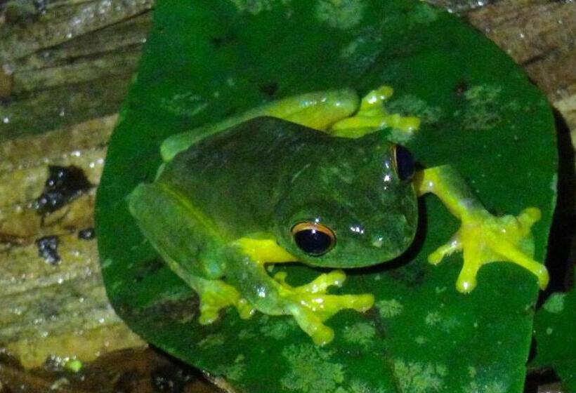 בית מלון כפרי Heritage Lodge