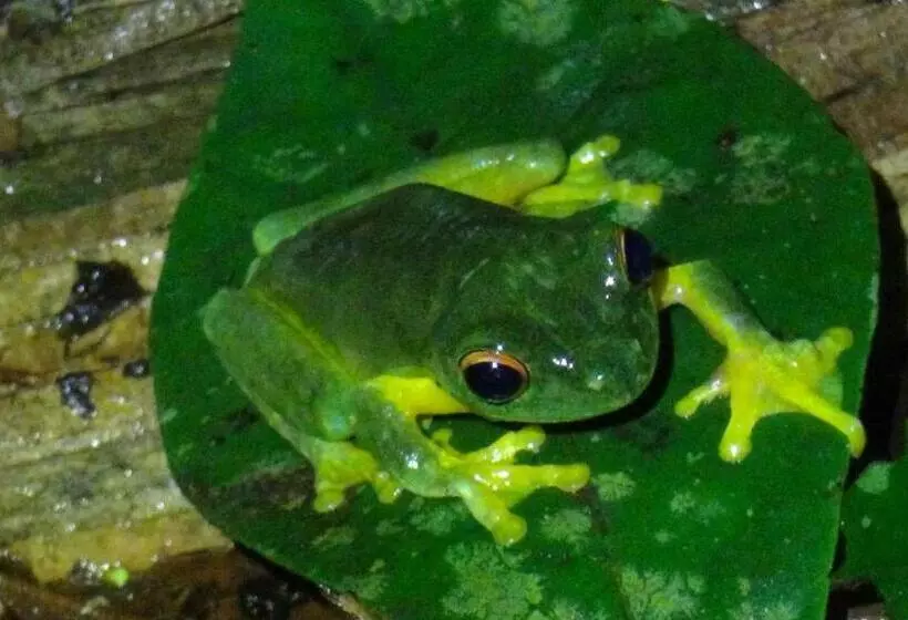 Отель Heritage Lodge