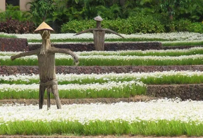 Hotel Yalong Bay Mangrove Tree Resort