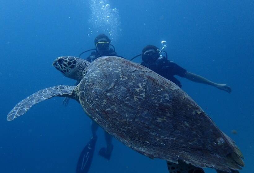 호텔 Zeavola Resort