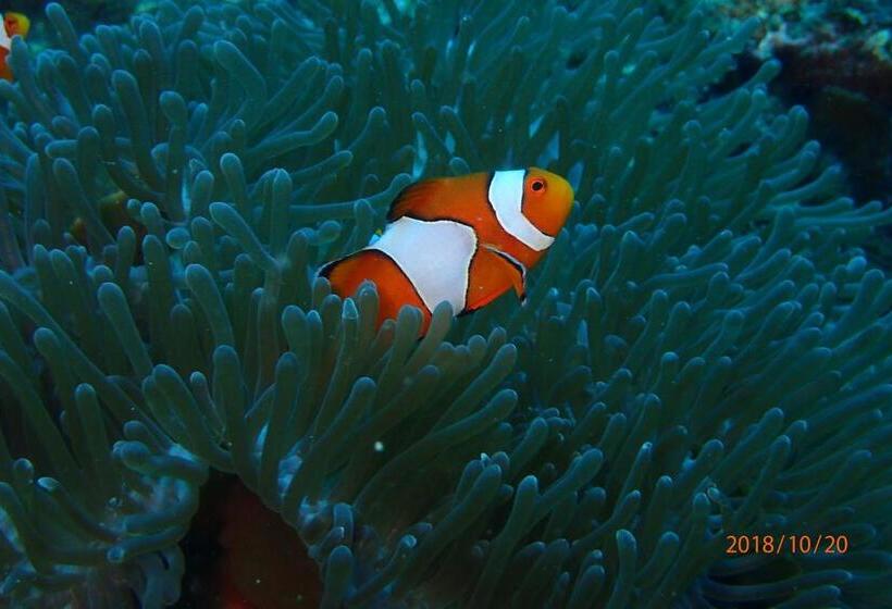 호텔 Zeavola Resort