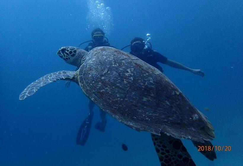 호텔 Zeavola Resort