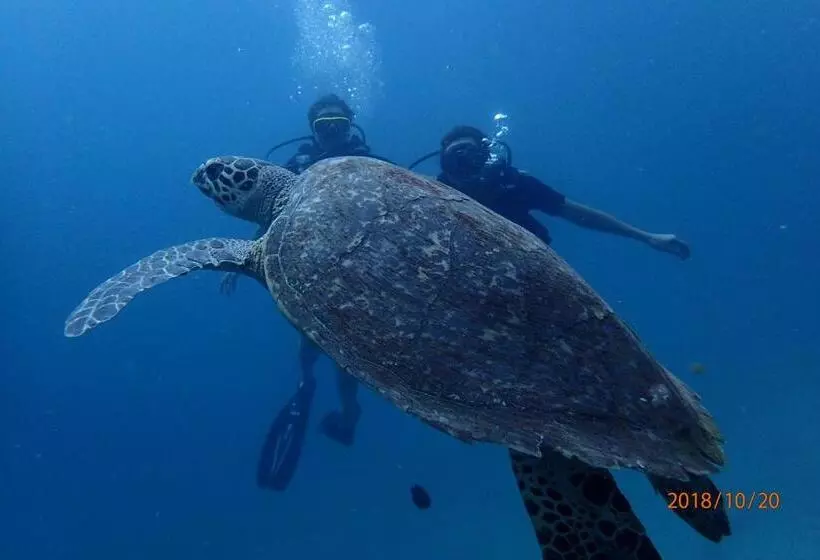 בית מלון כפרי Zeavola Resort